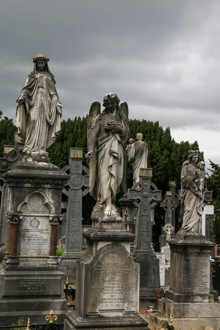 Glasnevin Cemetery 1