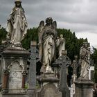 Glasnevin Cemetery 1