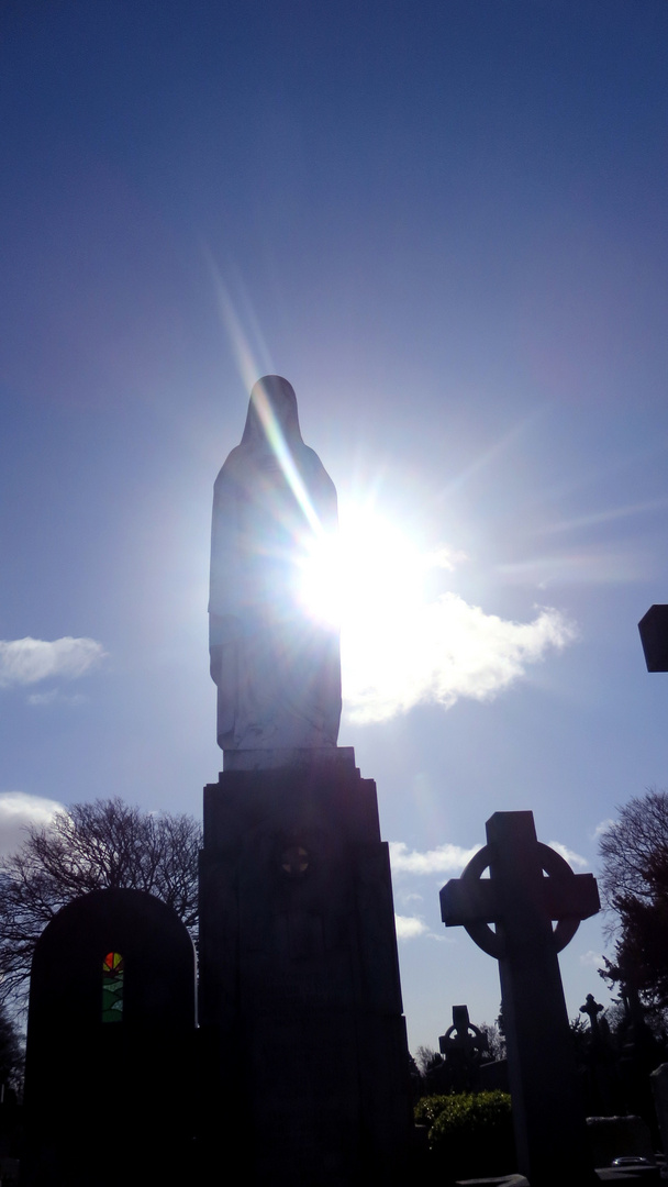 Glasnevin Cemetery 2015 - 2