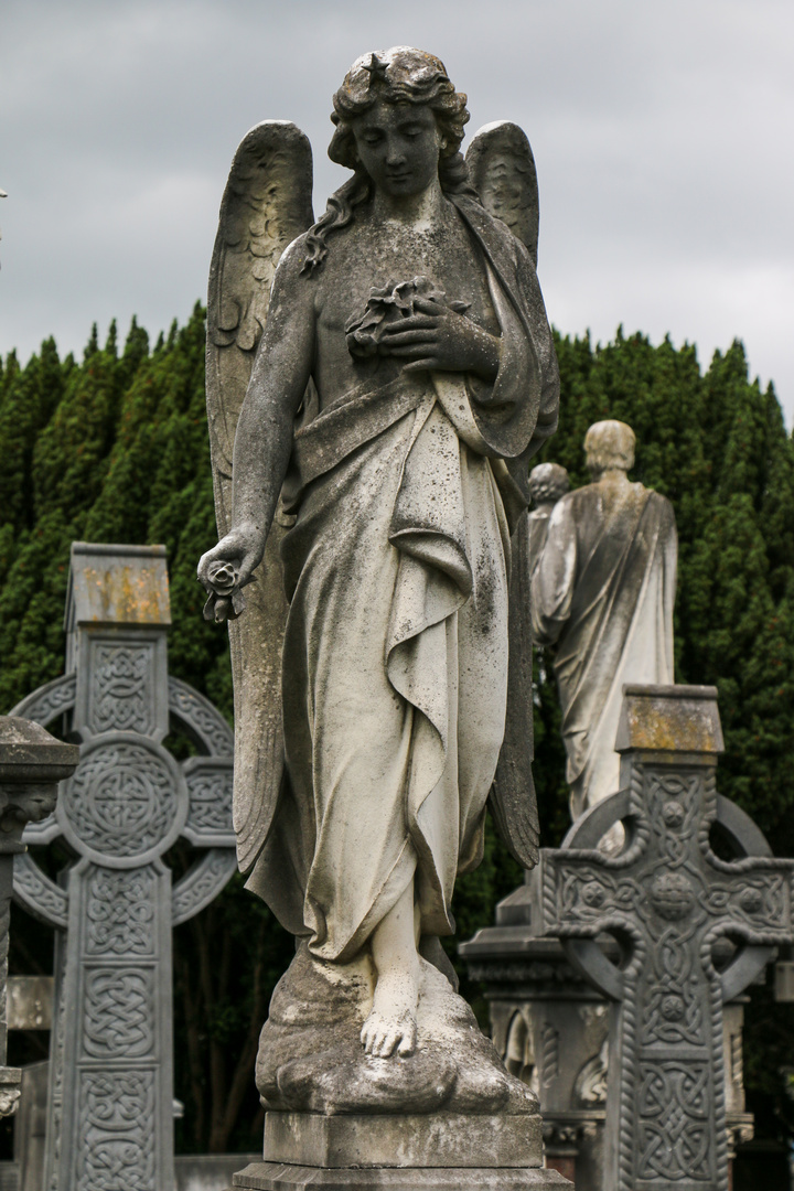 Glasnevin Cemetery 4