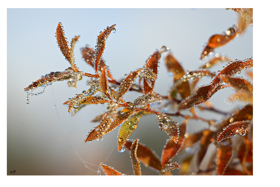 ... Glasperlenspiel ...