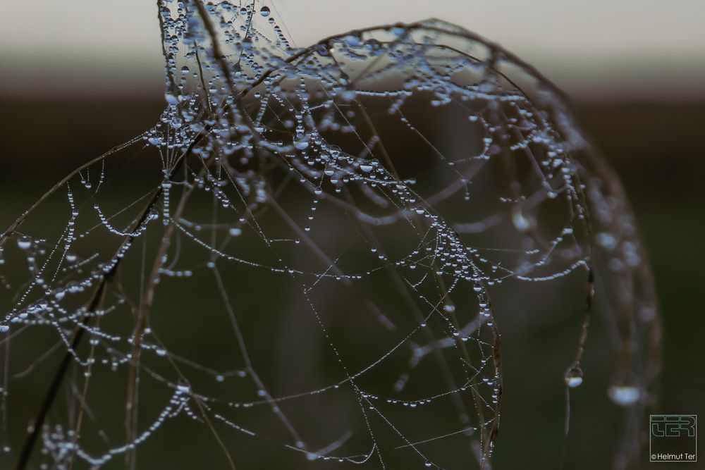 Glasperlenspiel