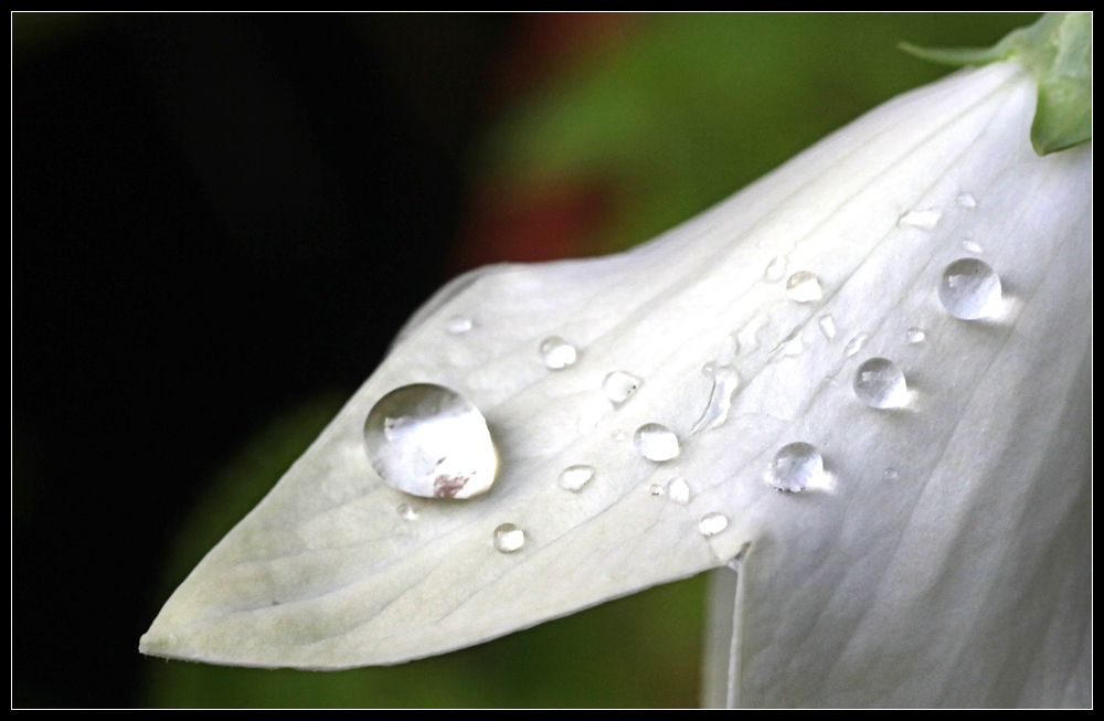 Glasperlenspiel I