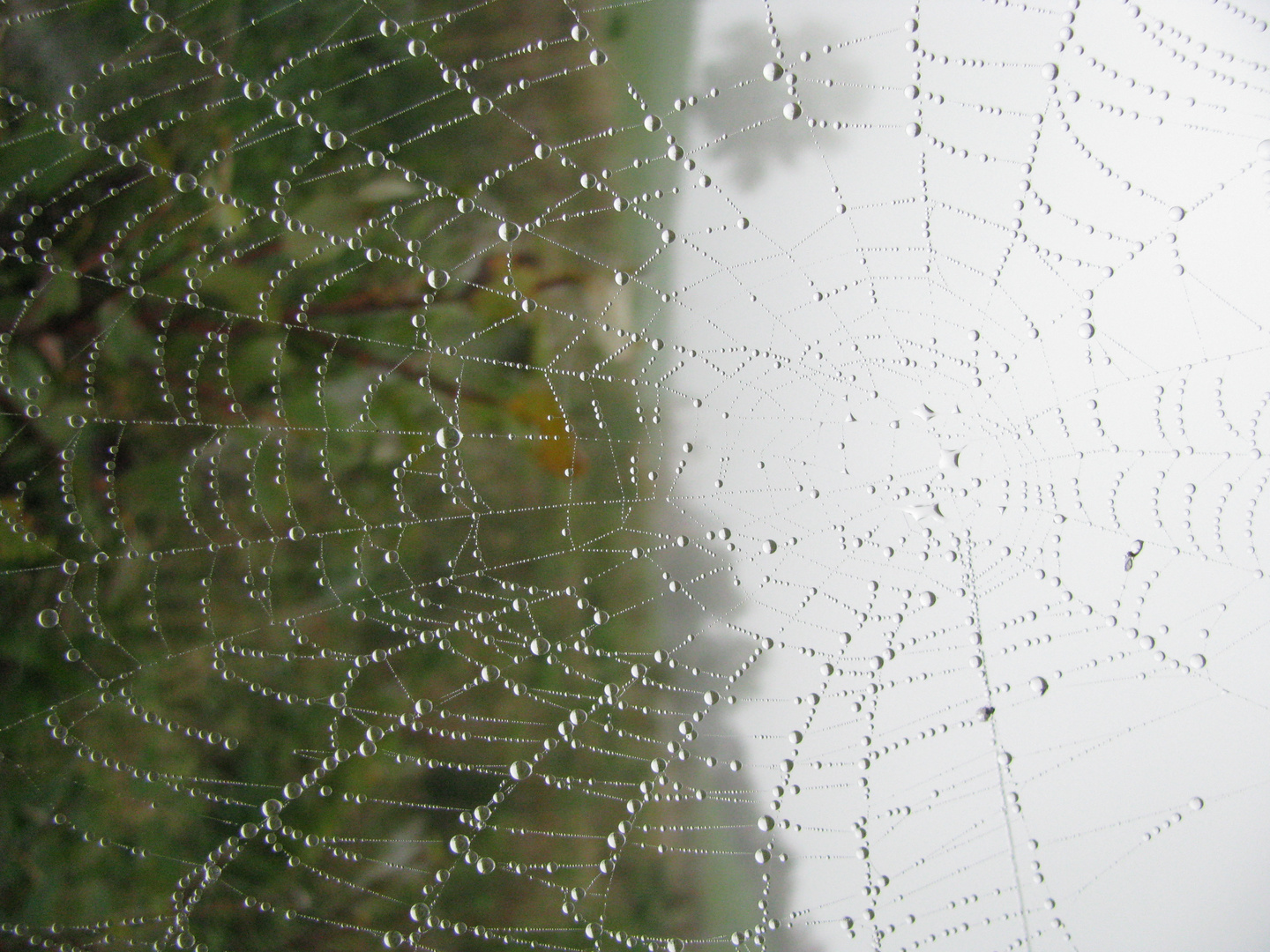 Glasperlenspiel nacheinander.