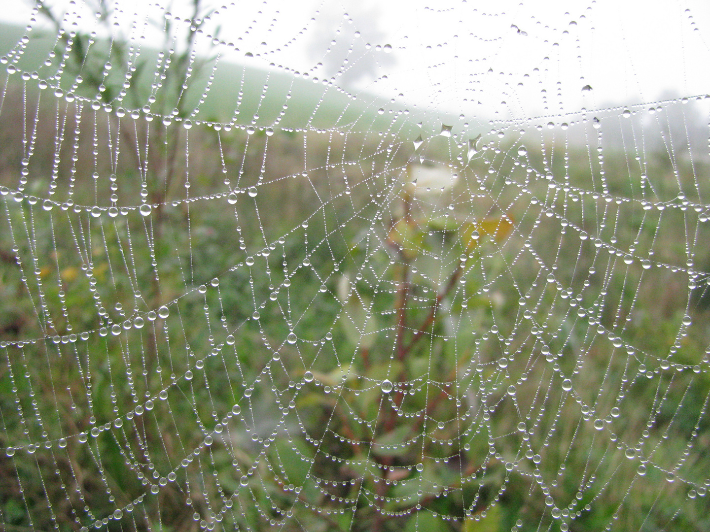 Glasperlentropfen