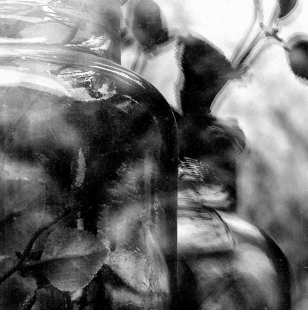 Glass and Leaves