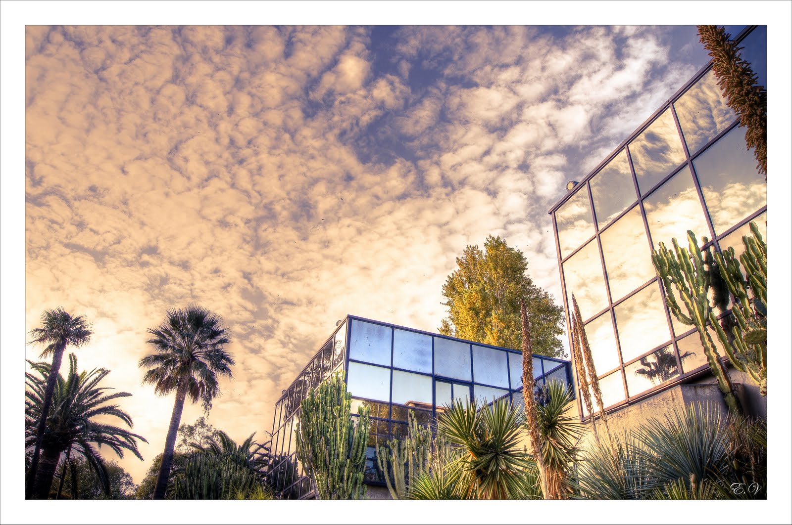 glass, sky and cactus