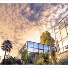 glass, sky and cactus