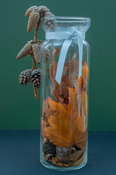 Glass with Cones and Leaves