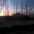 Glasshouse Mountains