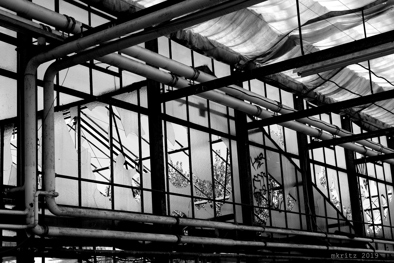 glasshouse2