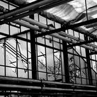 glasshouse2