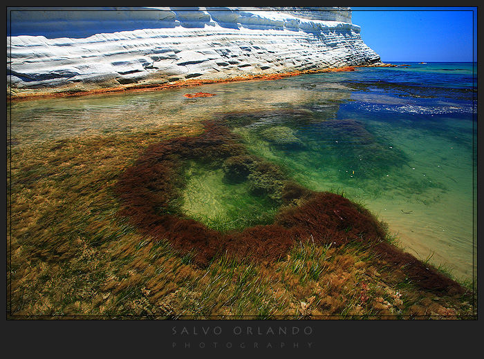 Glassy sea