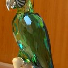 Glasvogel