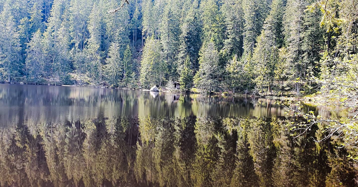 Glaswaldsee,  Schwarzwald 