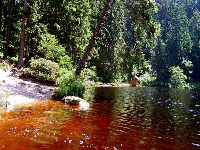 Glaswaldsee Schwarzwald