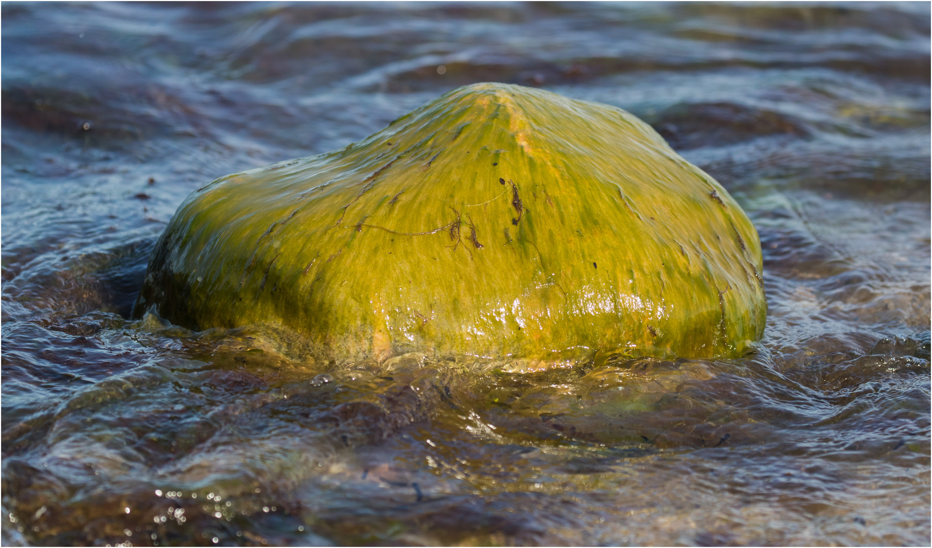 Glatt, glitschig vom Wasser umspült