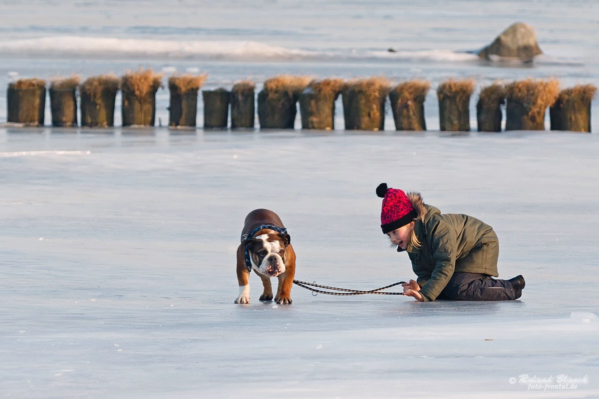 Glatteis Foto & Bild | jahreszeiten, winter, kalt Bilder auf fotocommunity