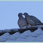 glaub` mir, es wird wirklich Frühling