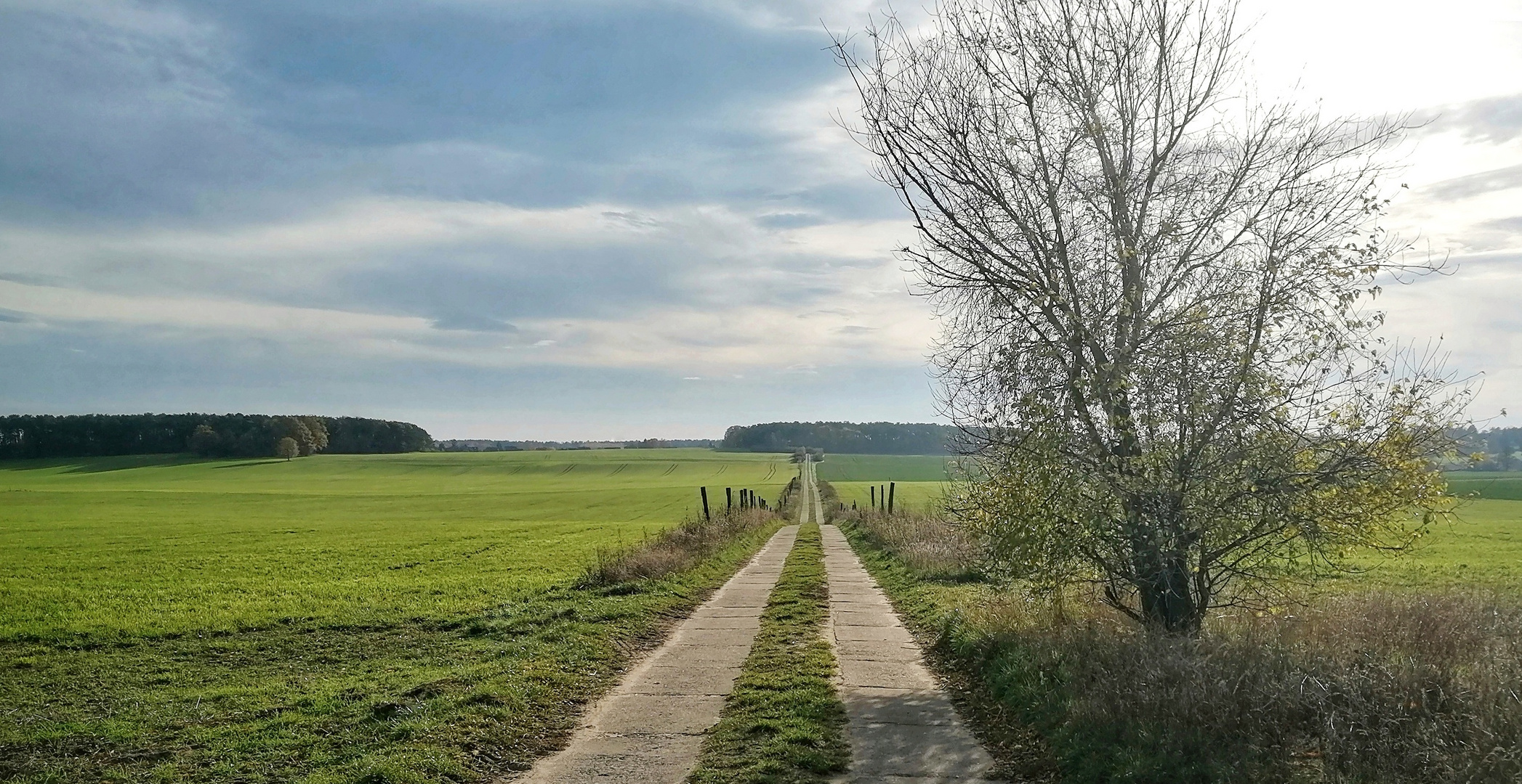  ,,  Glaube daran ,  immer daß  Du  etwas kannst , und  Du hast es schon halb geschafft  "  