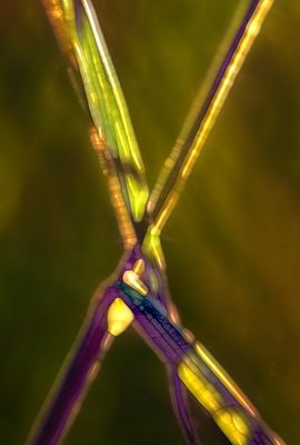 glaubt nicht an das X denn in wirklichkeit ist das ein U ...