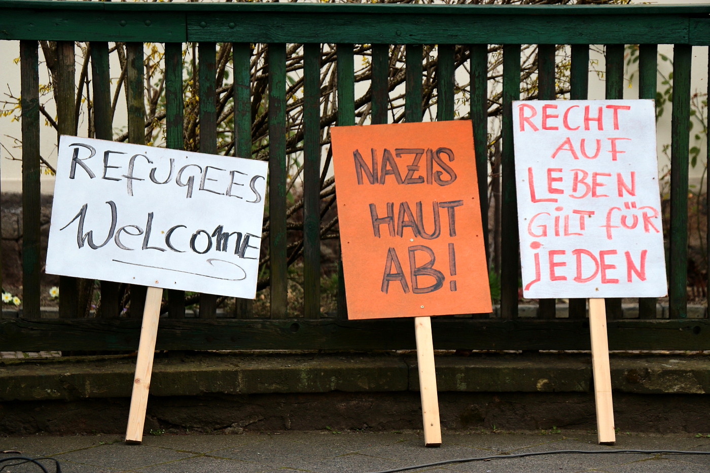 Glauchau hat Nazis satt (8)