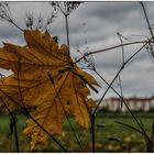 Glauchauer Herbst