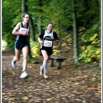 Glauchauer Herbstlauf 2009 (4)