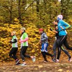 Glauchauer Herbstlauf 2018 (11)