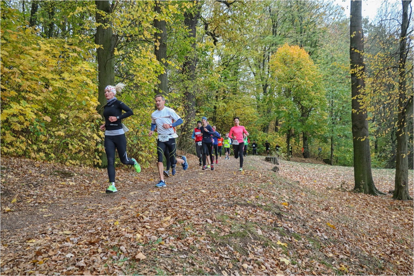 Glauchauer Herbstlauf 2018 (2)