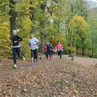 Glauchauer Herbstlauf 2018 (2)