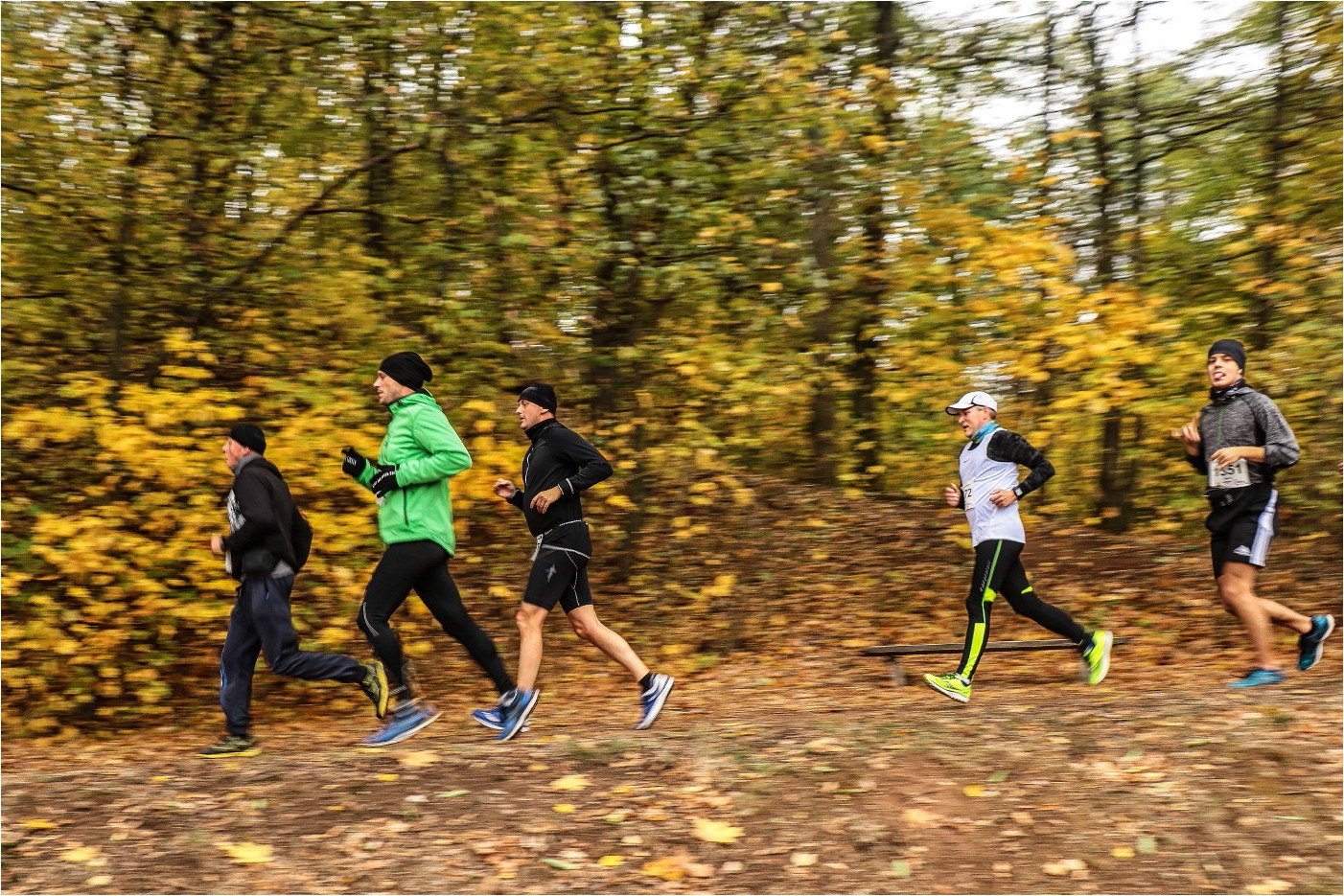 Glauchauer Herbstlauf 2018 (6)