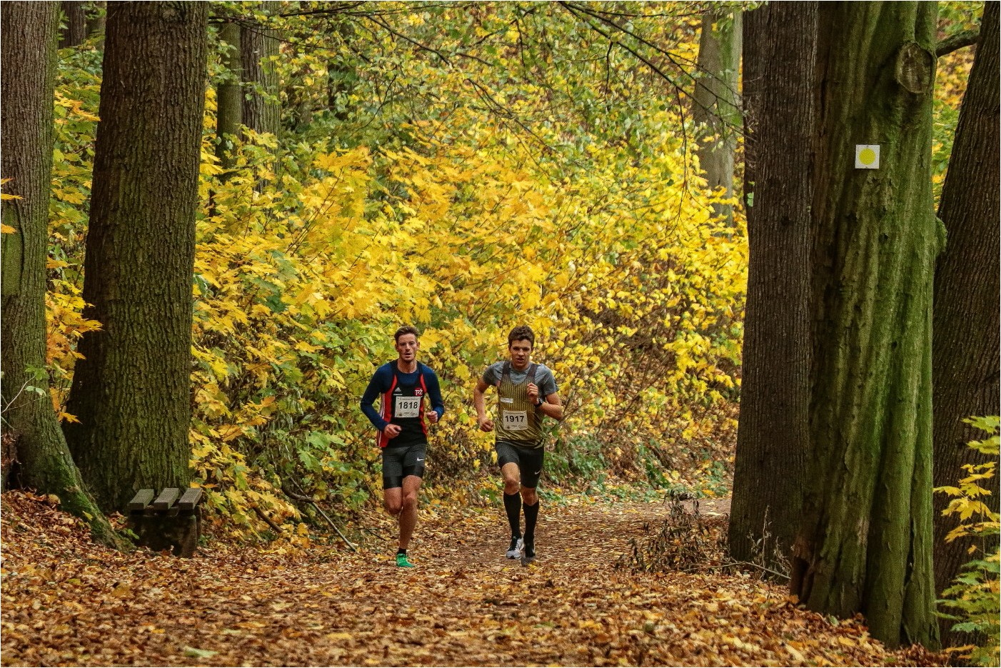 Glauchauer Herbstlauf 2018 (8)