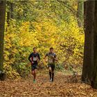 Glauchauer Herbstlauf 2018 (8)