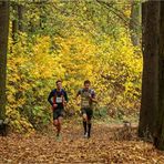 Glauchauer Herbstlauf 2018 (8)