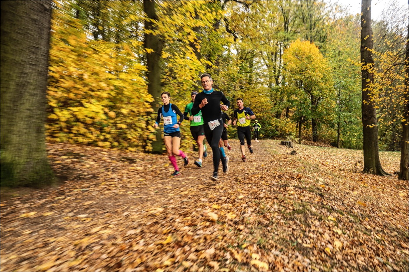 Glauchauer Herbstlauf 2018 (9)