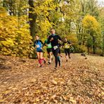 Glauchauer Herbstlauf 2018 (9)