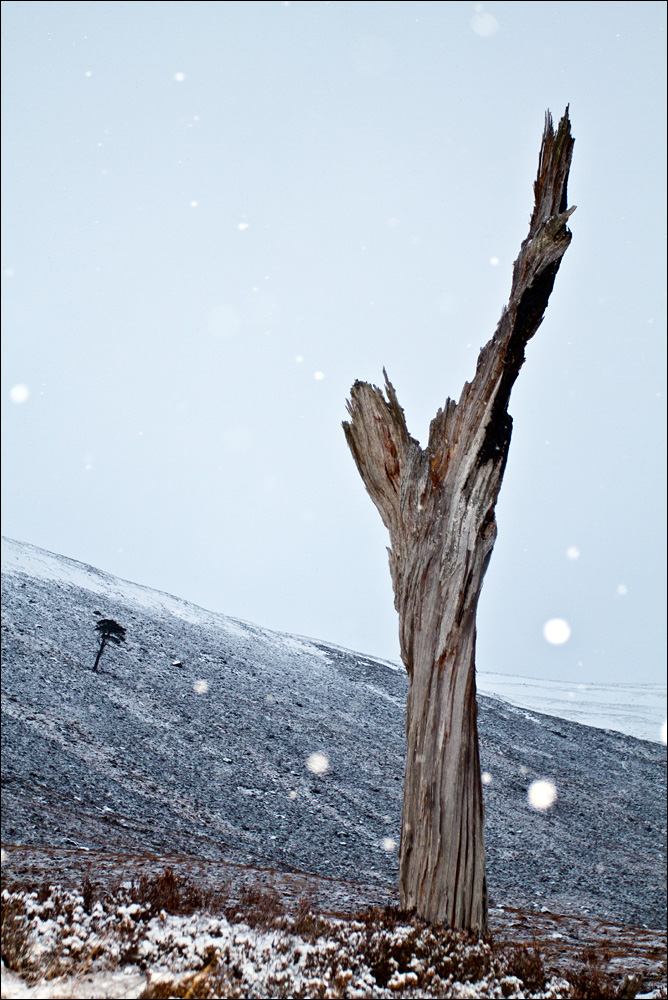 Gleann Laoigh Bheag, Cairngorms