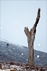 Gleann Laoigh Bheag, Cairngorms