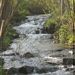 Gleibach in der Nähe der Mündung in die Lahn