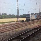 Gleich drei Vectron vor einem Güterzug