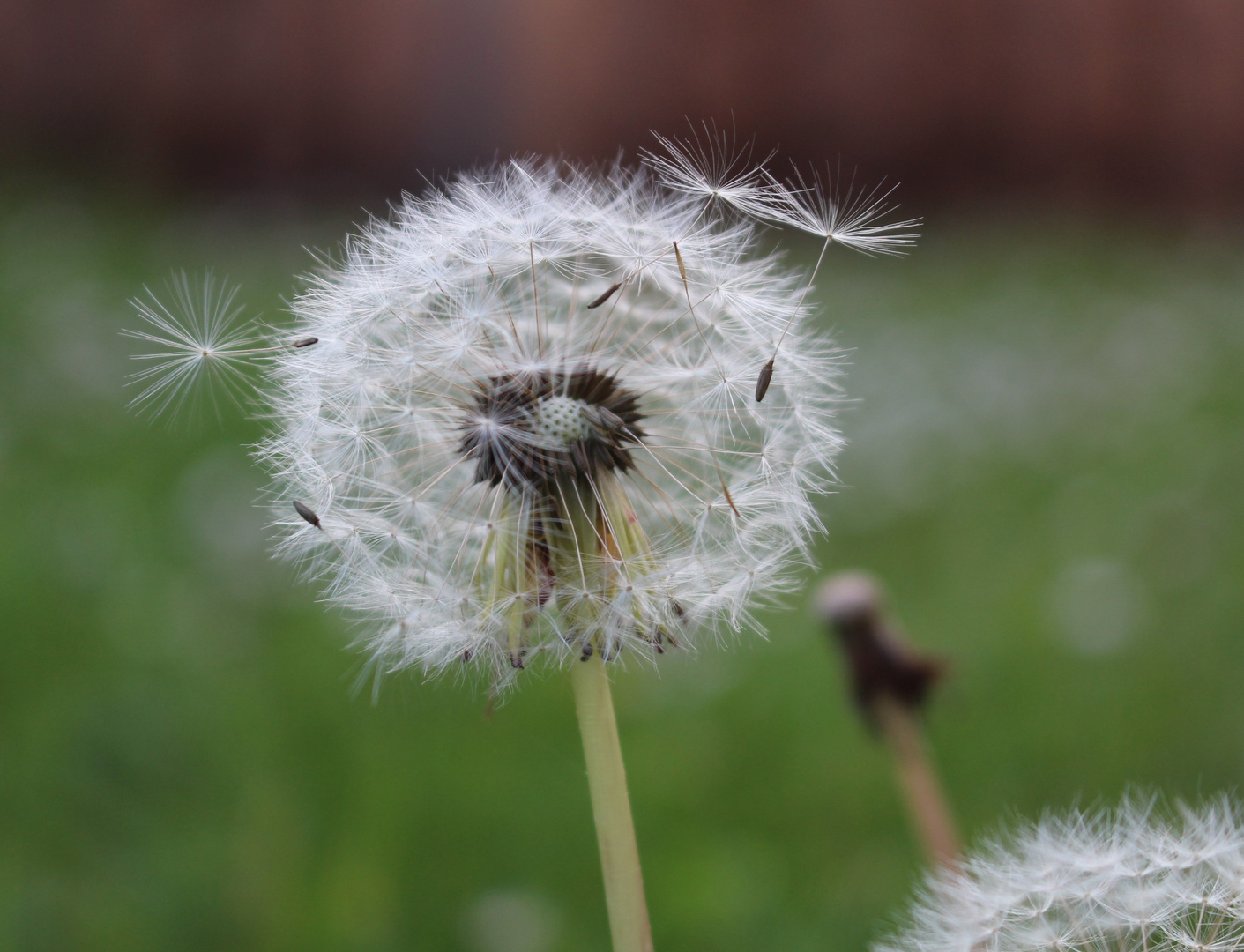 ... gleich etwas Wind