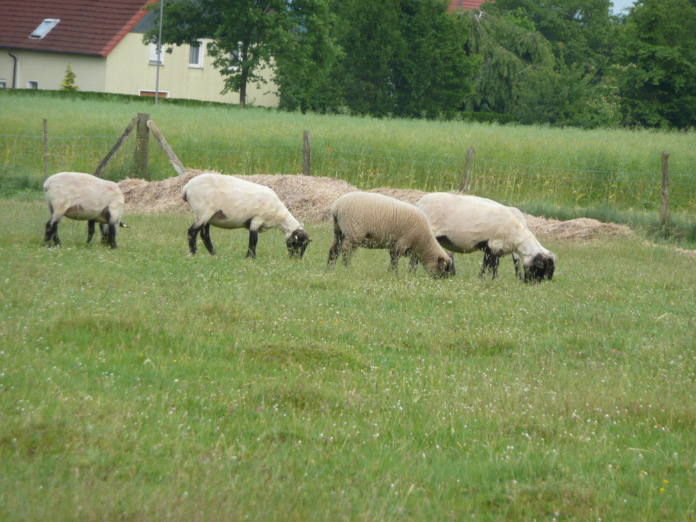 gleich Feierabend