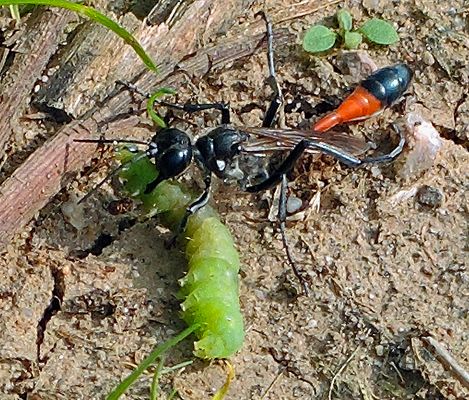 Gleich gehts unter die Erde