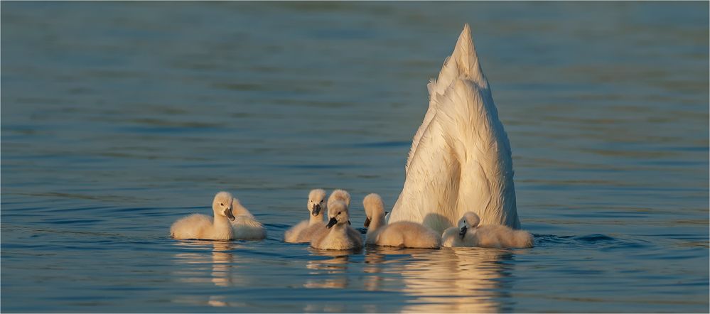 … Gleich gibt's Abendbrot – Seid schön brav und streitet Euch nicht …