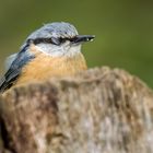 "Gleich hab ich's ..... das schmeckt - nach Vanille