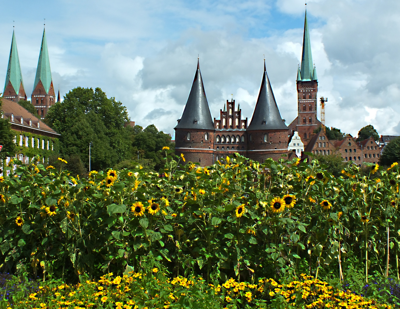 Gleich hinter den Blumen