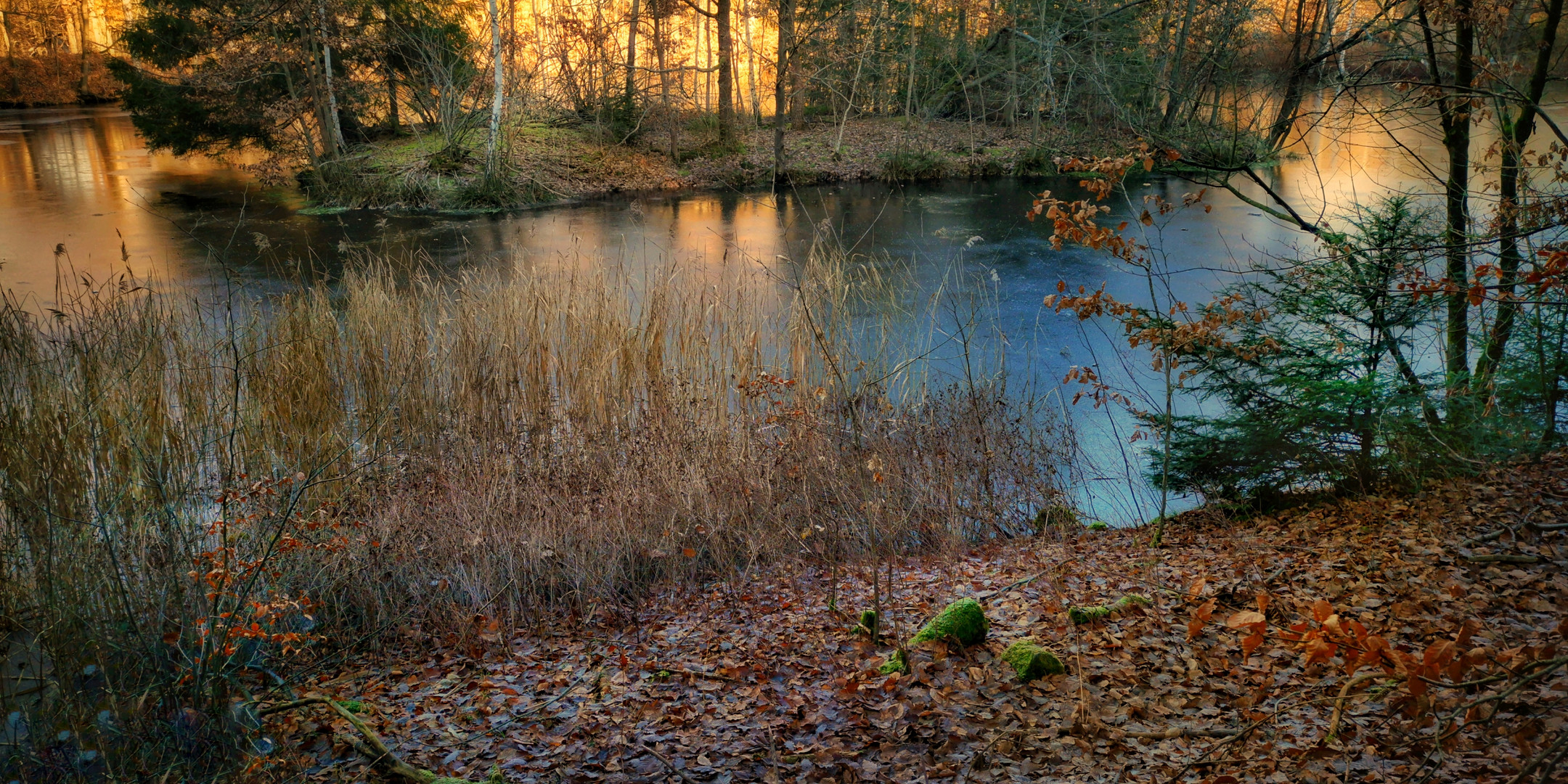 ...gleich hinterm Haus