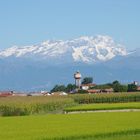 gleich hoch und weiter weg -Mont Blanc-Bianco