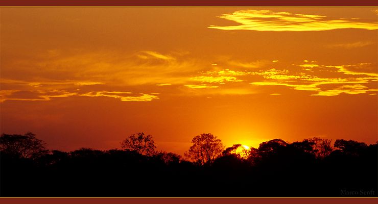 Gleich kommen die Mosquitos...